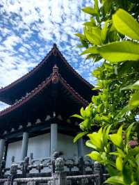 武夷山禪寺發呆實錄｜都市人的神仙充電站啊
