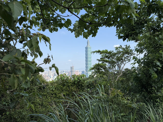 The Best View Of Taipei, Elephant Mountain! Free and convenient ( it’s a must do)
