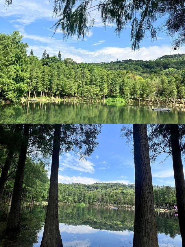 《青秀山：山清水秀，風光旖旎的自然仙境》​