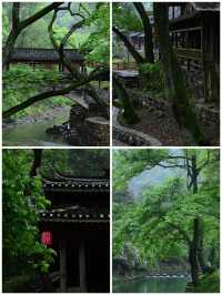茶野秘境｜安化冷門暴擊天花板
