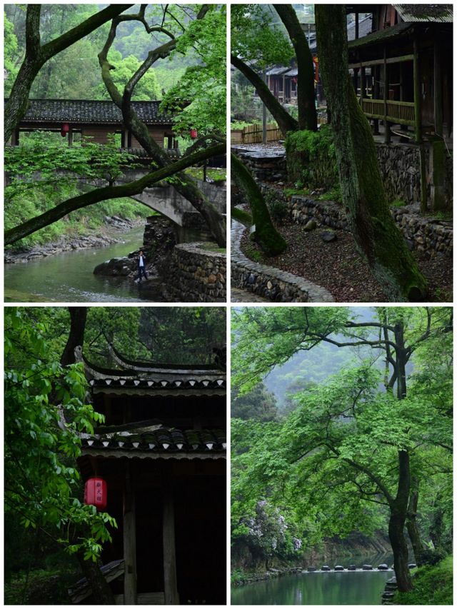 茶野秘境｜安化冷門暴擊天花板
