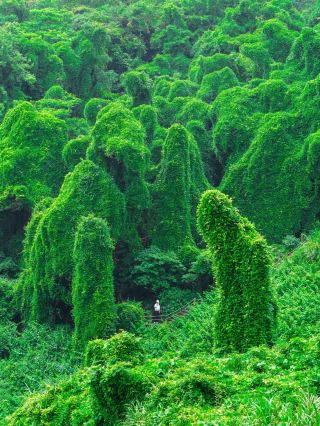 I found a real-life "Wizard of Oz" in Ningbo, Zhejiang