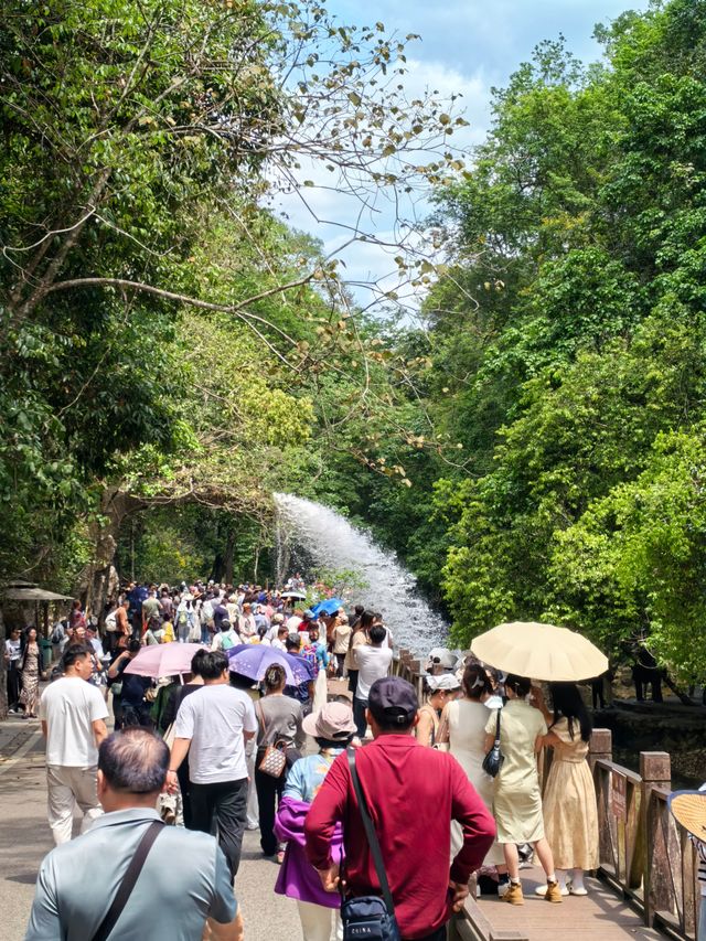 初識小七孔