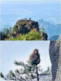 黃山2日1夜特種兵 累到腳震但爽到尖叫