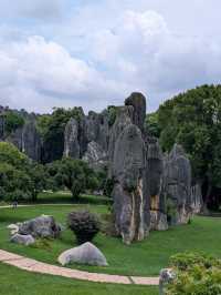 A Visit to The Stone Forests (and Stone Teeth) of Guilin 🏔️🌳