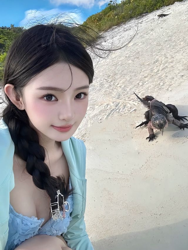 巴哈馬日記｜仲未同小豬一齊游水嘅你