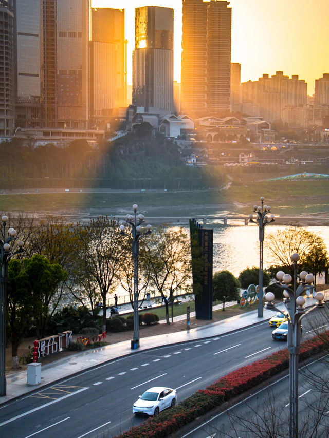 🌸 SPRING SECRET: Chongqing’s "90% DOWNHILL" Flower Path (Zero Sweat Guaranteed!)