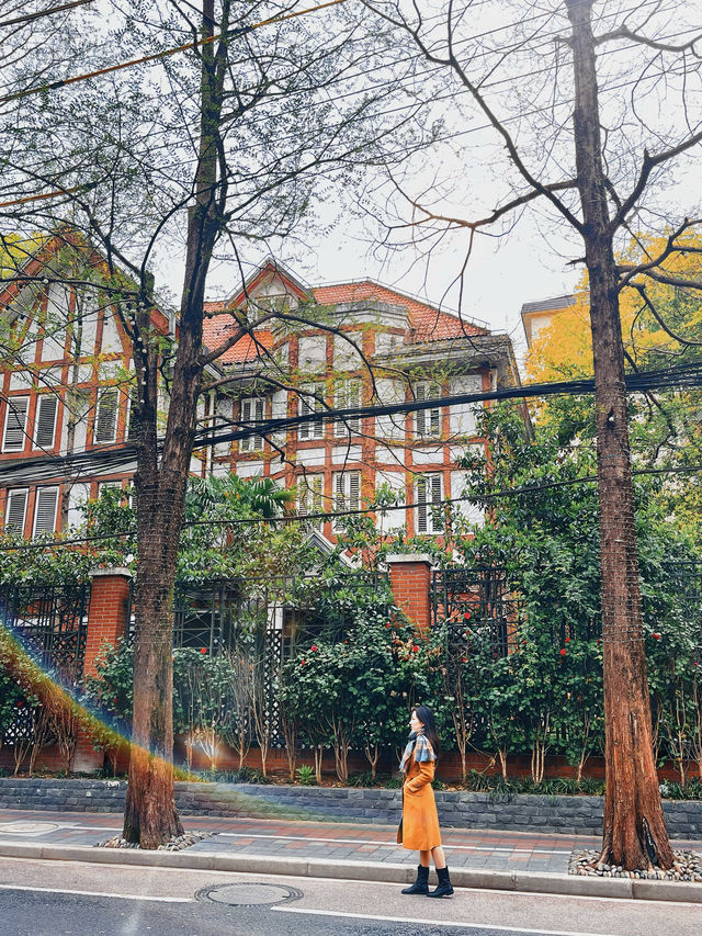 櫻花雨已逝，但呢條絕美浪漫路線必須收低