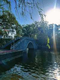 瀋陽「江南園林」私藏攻略：紅牆黛瓦，人少景靚！