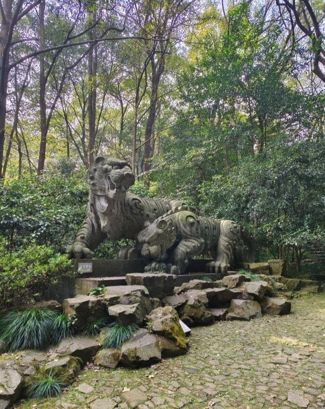 杭州·虎跑公園 西湖邊嘅綠野仙蹤吸氧秘境