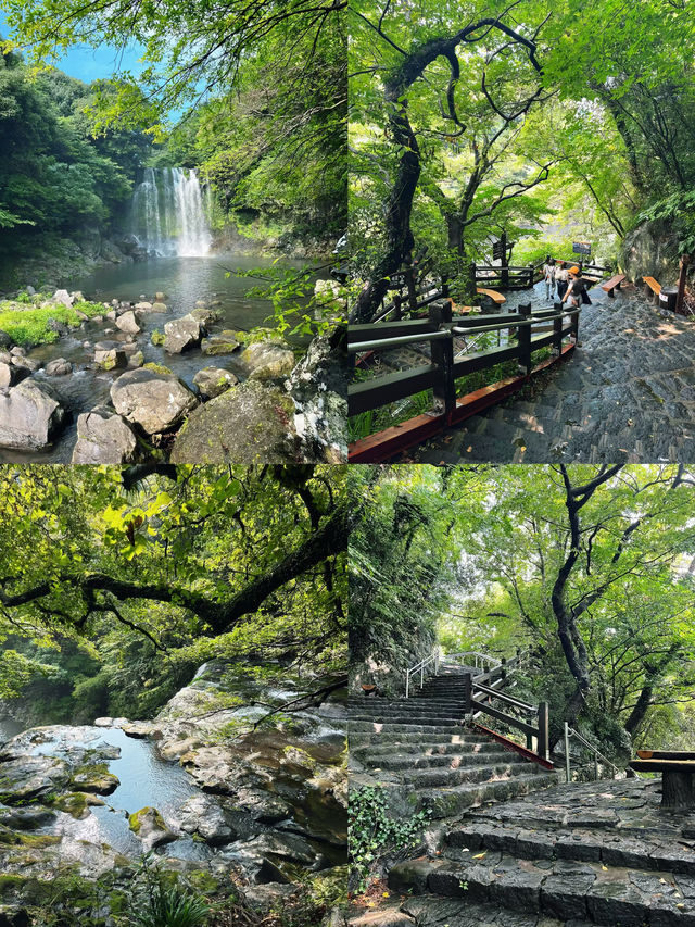 韓國之旅歸來，我的消費觀徹底崩潰了