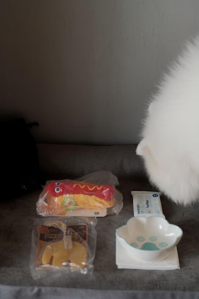點樣做一日真·富貴閒人