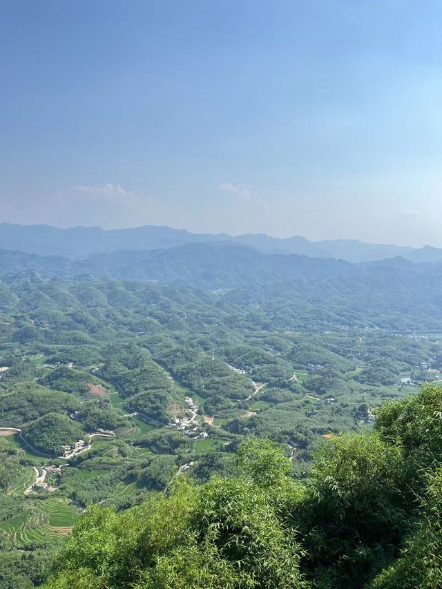 酒都竹韻·三江宜賓
