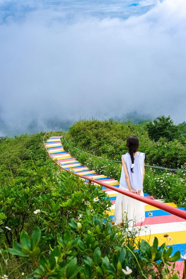 以為青城山已經夠美了！直到我來到……1.5h