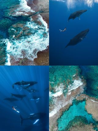 Tonga 6-Day 5-Night Ultimate Travel Guide