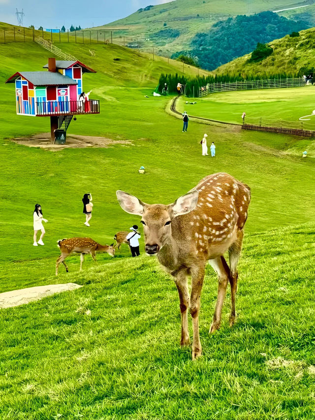 郴州暑假治癒之旅｜女生獨遊三天兩夜超全攻略