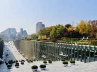 9 Fun and Quirky Seoul Adventures Off the Beaten Path🎠