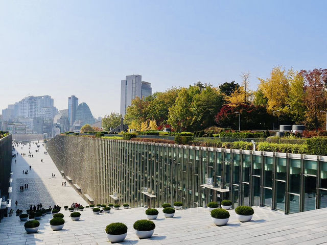 9 Fun and Quirky Seoul Adventures Off the Beaten Path🎠