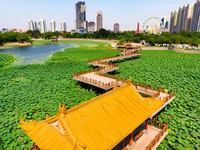 均200蚊玩轉德州！三日兩夜餵萌寵、運河漫遊、食扒雞全攻略