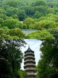 為咗影呢條梧桐大道，特登去咗南京一趟