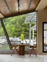安吉山頂泳池樹屋民宿，流量往返！