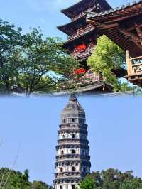 【園林、澱粉與「坑」嘅避魔指南】
