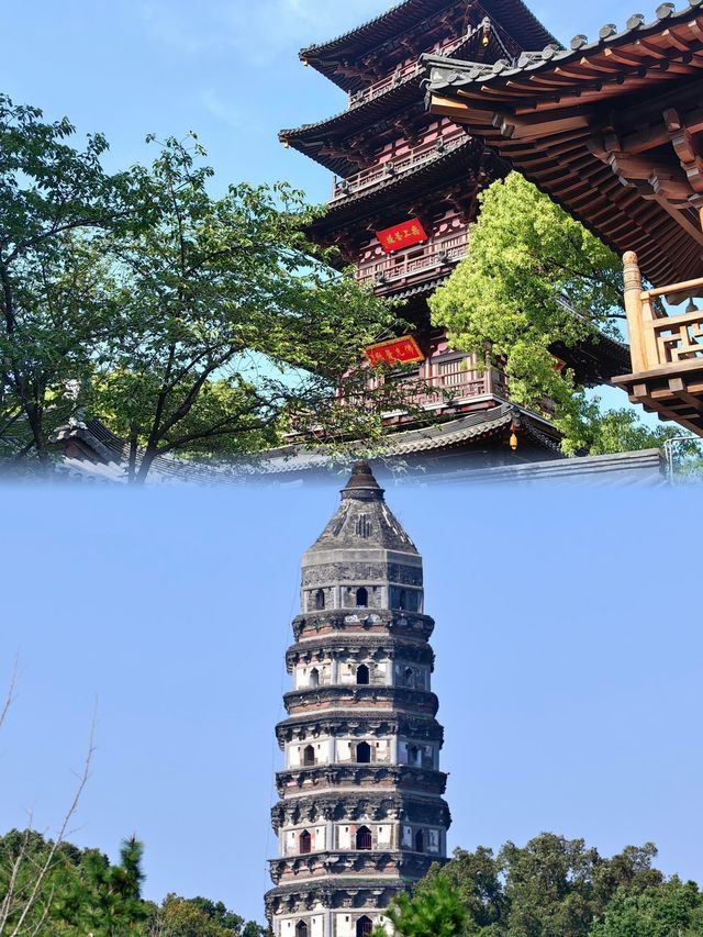 【園林、澱粉與「坑」嘅避魔指南】