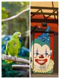香港海洋公園旺季生存法則！3日玩盡20個項目，呢5個錯千祈唔好犯