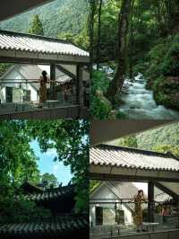 江浙滬吸氧聖地！躺住睇溪流竹影真係太治癒啦