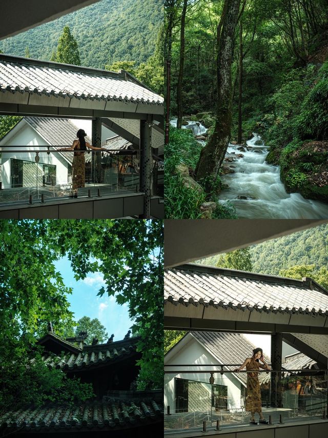 江浙滬吸氧聖地！躺住睇溪流竹影真係太治癒啦
