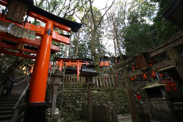 千本鳥居嘅朱色夢境｜神隱之森嘅詩意朝聖