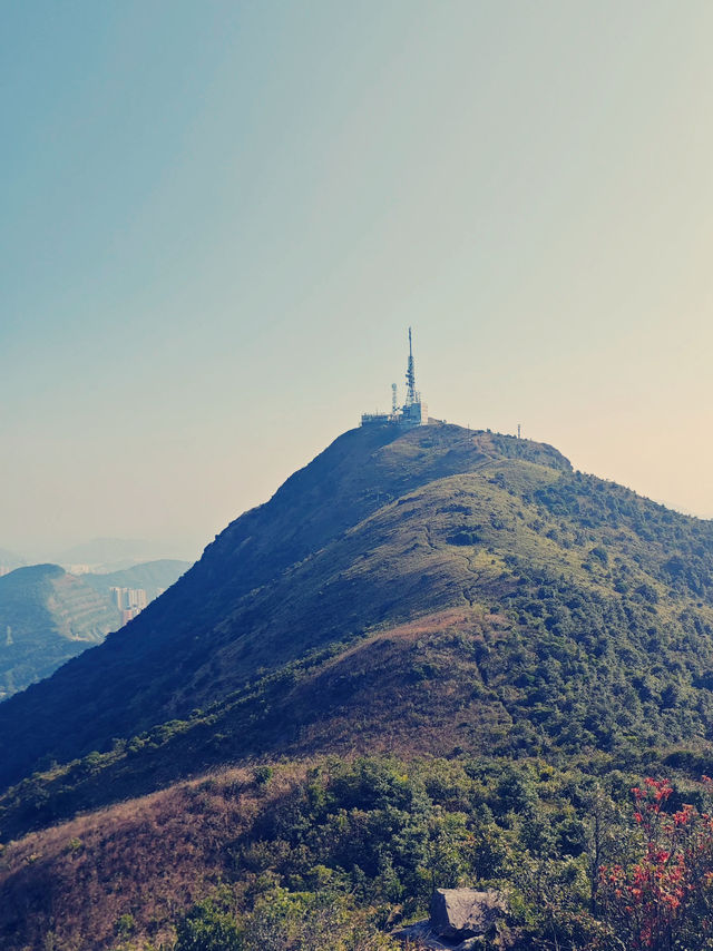 香港飛鵞山　絶景と冒険の魅力を満喫！​