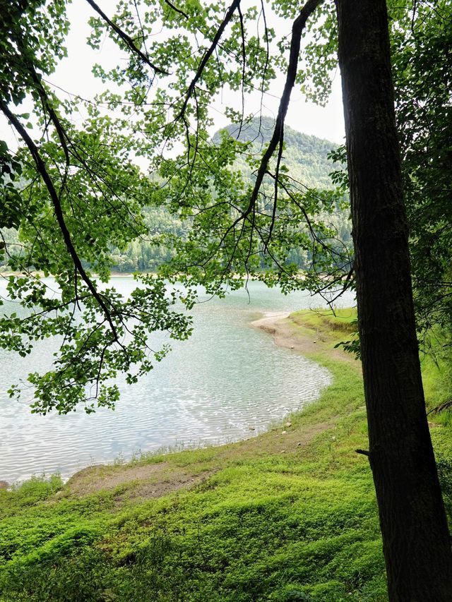各位朋友！發現一個隱藏喺市區周邊嘅避暑勝地