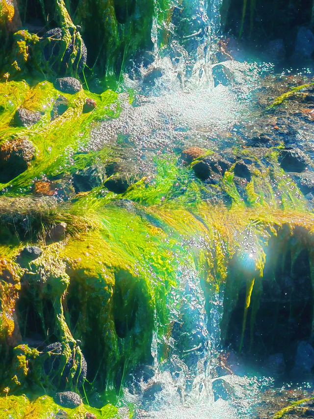 各位朋友，今日一定要同大家分享湯加呢個絕美嘅旅行勝地。湯加真係一個受上帝眷顧嘅地方，靚到令人窒息。