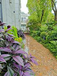 邂逅雨後西山隱酒店，開啟夢幻避世之旅 舌尖