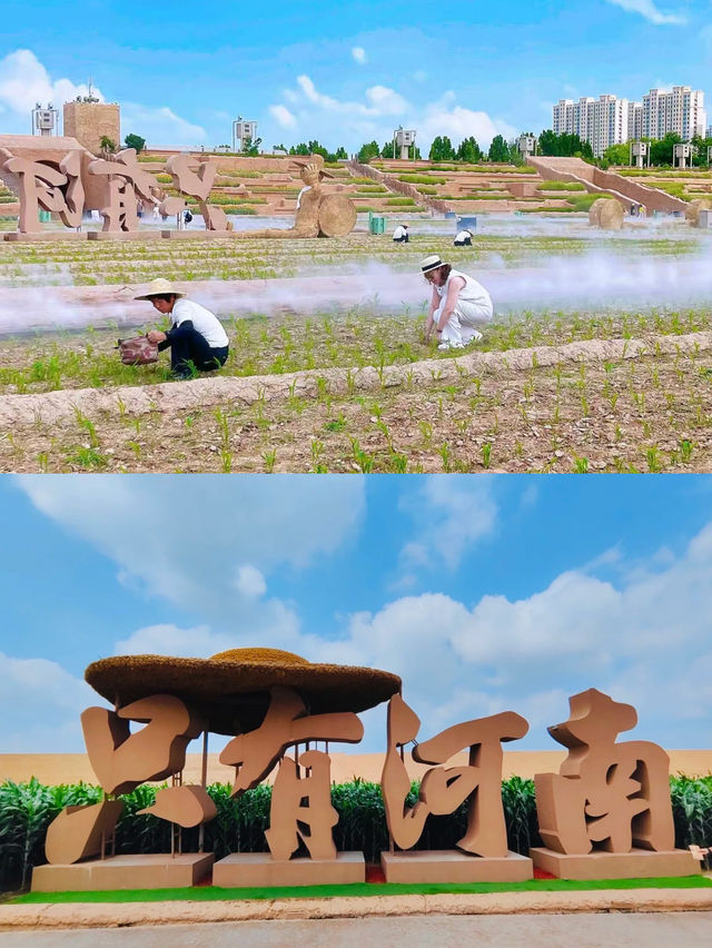 5日親子遊：洛陽-鄭州-開封攻略