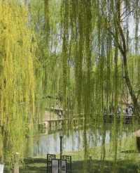 安寧銀灘濕地公園