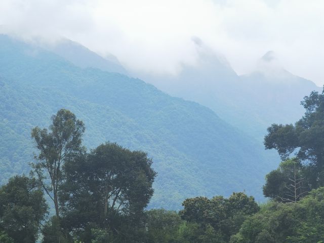 廣州秘境瀑布攻略