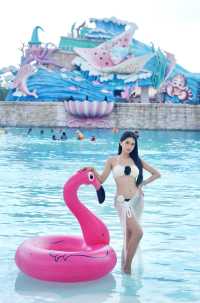 清遠美林湖水世界！夏日次元大作戰