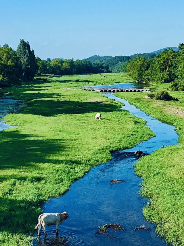 武漢2小時直達！湖北「小伊犁」玩水全攻略野餐溯溪yyds！