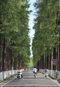 武漢旅遊攻略