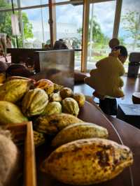 萬寧-陵水-三亞旅遊攻略：小眾親子遊+知識篇（幼兒友善版）