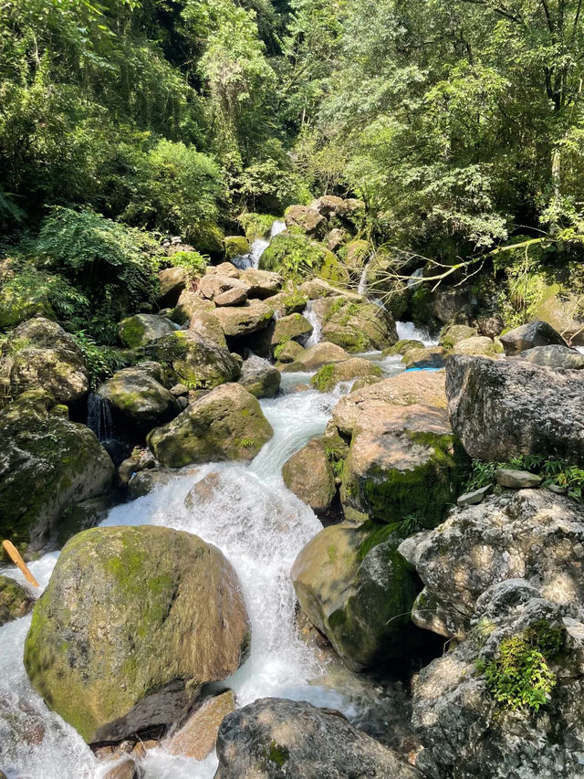 青城後山獨行記|在綠意的褶皺中與自己相遇 青城後山獨行記|在綠意的褶皺中與自己相遇