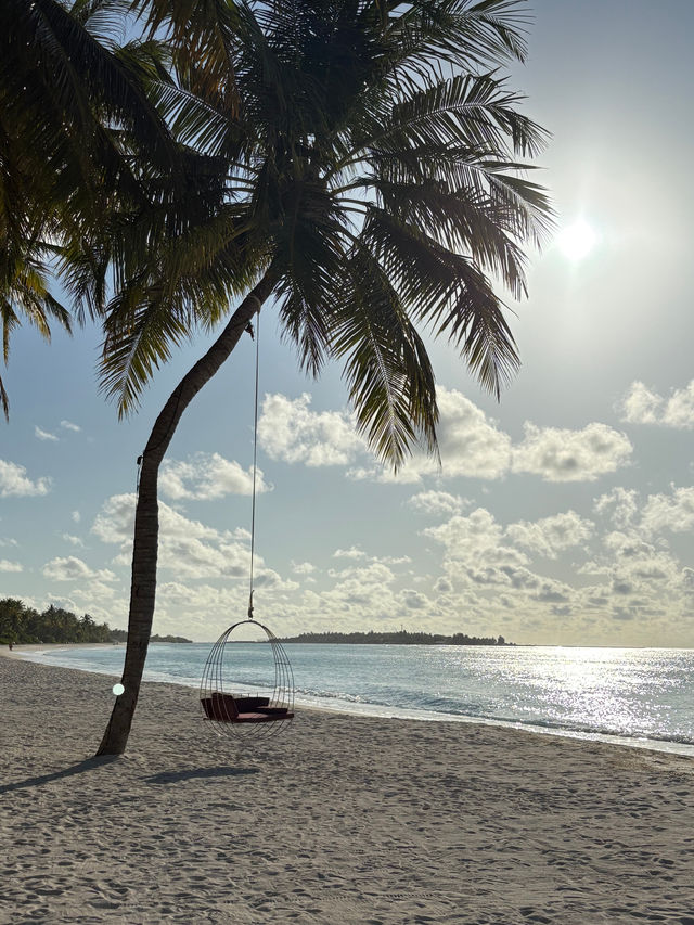 Heavenly Island Retreat with Stellar Service