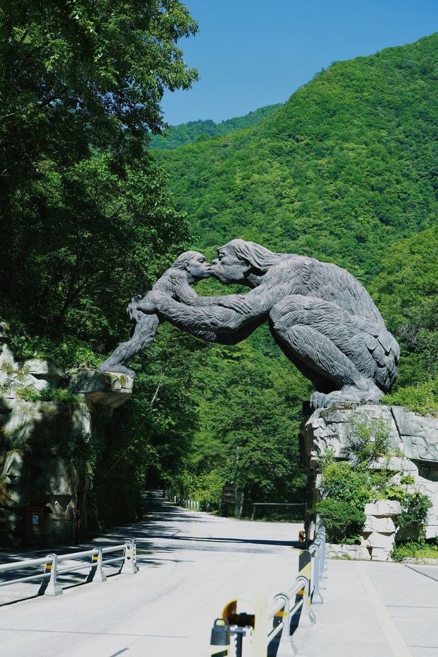 進山避暑，湖北首選秘境神農架