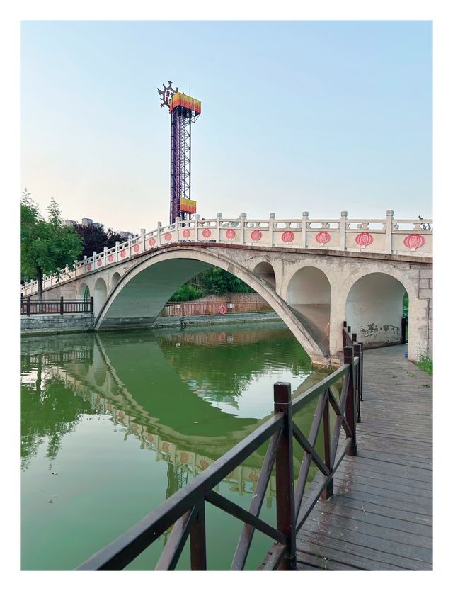 漯河神州鳥園秋季夜遊:暢遊鳥類王國，體驗夜間奇幻之旅！