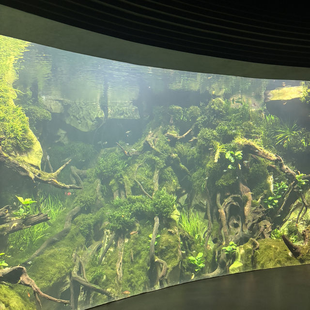 【上海】上海温室花園🪴｜写真映え×自然癒し×屋内観光にぴったり！