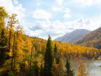 喀納斯河畔：秋日色彩的絕美盛宴