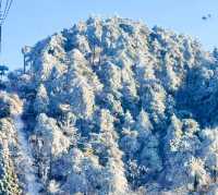 南方人呢執著雪廬山