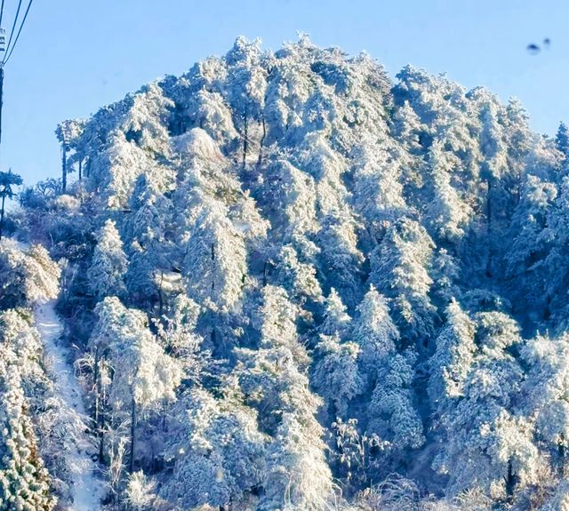 南方人呢執著雪廬山